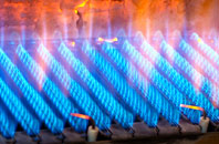 Birkhouse gas fired boilers